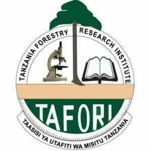 32 TAFORI Vacancies | September 2024