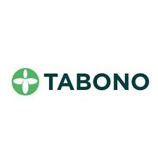 Electrical Engineer at Tabono Consult Limited