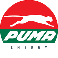  LPG Key Account Manager at Puma Energy