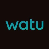 IT Manager at Watu Credit 