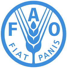 National Coordinator at FAO 