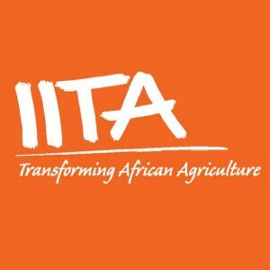 Researcher – Agronomy at IITA