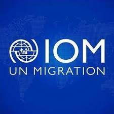 Operations Assistant (Field Support) at IOM