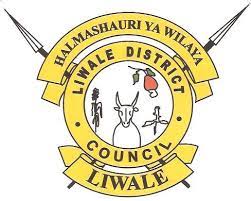 41 Job Opportunities at Liwale District Council - Various Positions ...