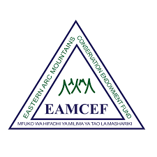 Resource Mobilization Officer at EAMCEF | AJIRA YAKO