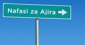 Nafasi za Ajira 2023 | Job Opportunities From Government, Private Sector And Internship 2023