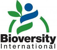 Bioversity International/CIAT
