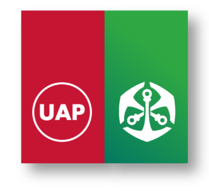 Credit Controller Job Opportunity at UAP Insurance 