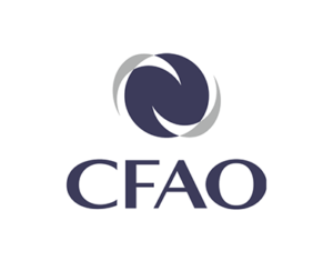 Sales Director Job Opportunity at CFAO Tanzania