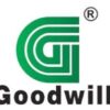 Goodwill Tanzania Limited