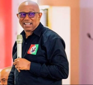INEC results: Peter Obi wins Anambra state by a wide margin | Nigeria Elections Updates