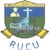 Ruaha Catholic University (RUCU) Jobs
