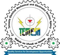 TEMESA Vacancies - 40 Temporary Positions