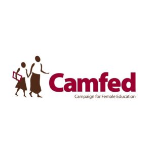 Graphic Design and Digital Content Officer at CAMFED