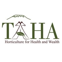 HR and Administration Manager at TAHA