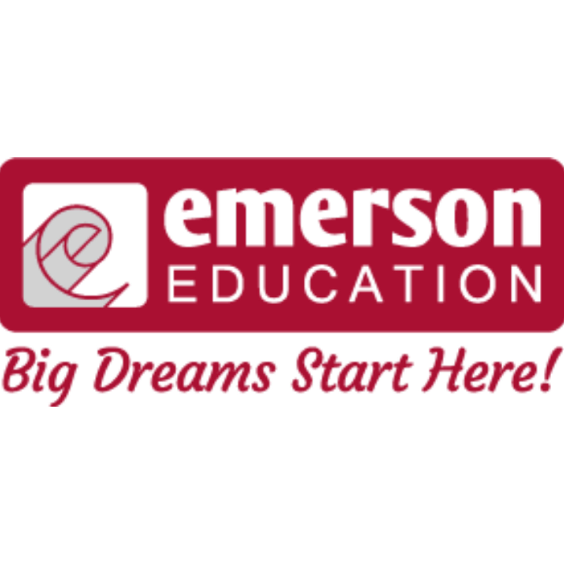 2 Job Vacancies at Emerson Education Various Positions AJIRA YAKO