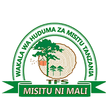 Driver II Job Vacancies at Tanzania Forest Services Agency (TFS)-3 Posts