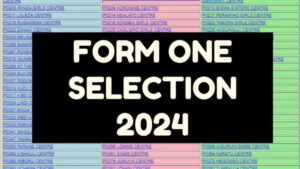 Form One Selection 2024 Based on Regions