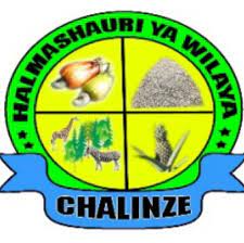 Data Officers (2 Positions) at Chalinze District Council 