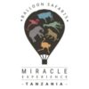 Miracle Experience Tanzania