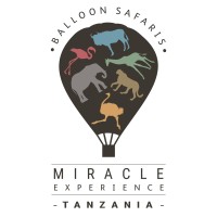 Base Operations Manager at Miracle Experience