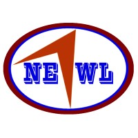 Data Analyst (Trainee) Vacancy at NEWL
