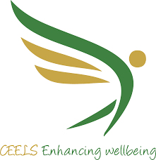 Project Accountant Job Vacancy at CEELS