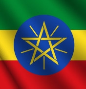 Embassy of Ethiopia Vacancy | Driver