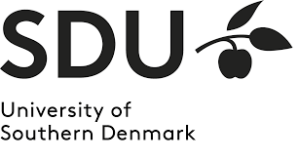 Denmark Government Scholarships for Tanzanian Students 2025
