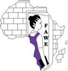 Monitoring and Evaluation Vacancy at FAWE