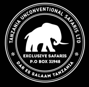 Part Time Secretary at Tanzania Unconventional Safaris Ltd