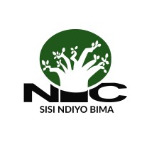 10 Job Opportunities at NIC Tanzania