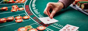 Experienced Casino Writers at NihonnoOnlineCasino.com｜JOC