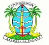 Dar es Salaam City Council