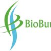 BioBuu