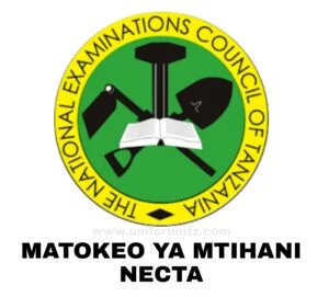 Form Four Results 2024/2025, Necta CSEE Results