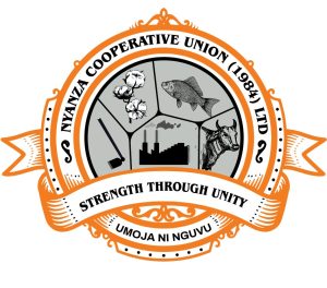 Chief Accountant Vacancy at Nyanza Cooperative Union