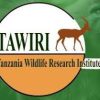 TAWIRI Job Vacancies