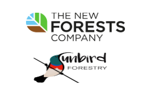 Junior Accountant at New Forests Company