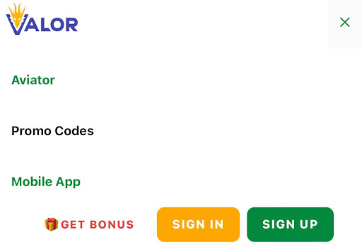 Best Casino for Players of Any Level - ValorBet and Its Features