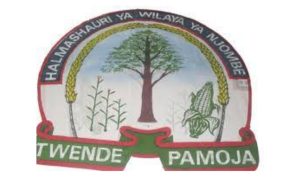 15 Job Opportunities at Njombe Council