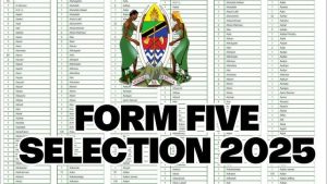 TAMISEMI Form Five Selection 2025/2026