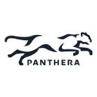 Panthera Corporation Job Vacancies