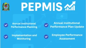 A Complete Guide to PEPMIS: Enhancing Public Sector Performance in Tanzania