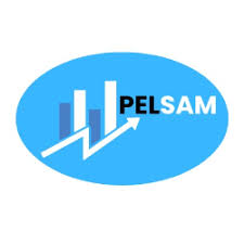 Sales and Marketing Officer Job Vacancy at PELSAM Limited
