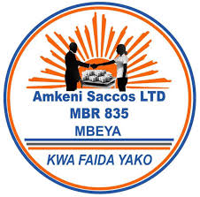 Chief Accountant Job Opportunity at Amkeni Saccos LTD