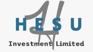 Accountant -Receivable at Hesu Investment 