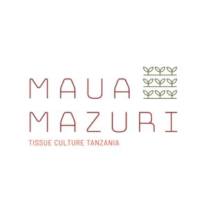 Watchman Supervisor Job Vacancy at Maua Mazuri