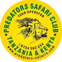 Predators Safari Club Job Vacancies