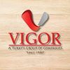 VIGOR Group of Companies Job Vacancies